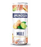 AMUND.VODKA MULE 6% 0,25/Z - Obchod LIBEX