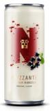 FRIZZANTE 250ml-CIER.RIBEZ - Obchod LIBEX