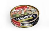 MAKRELA 160g/OLIV.OL-SOKRA - Obchod LIBEX