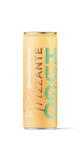 FRIZZANTE 0,25/PL-HUGO/TOP - Obchod LIBEX
