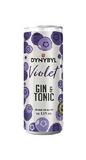 DYNYBYL GT VIOLET 4,5%0,25 - Obchod LIBEX
